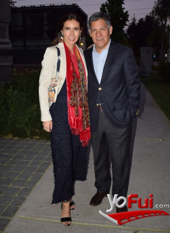 Carolina Schmidt, Gonzalo Molina
