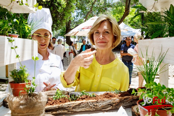 Evelyn Matthei
