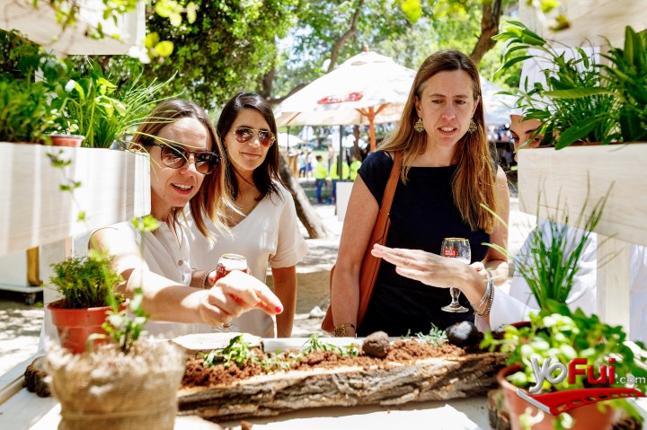 Aranzazu Alvarez, Bárbara Etcheberry, Bernardita Navarro