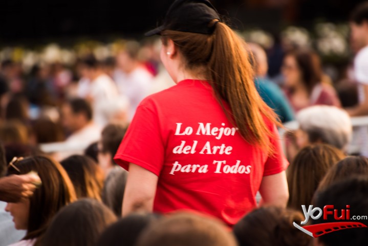 Chile en mi corazón