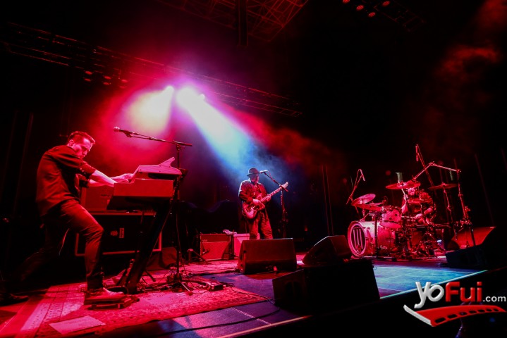 Alain Johannes (gentileza Lotus)