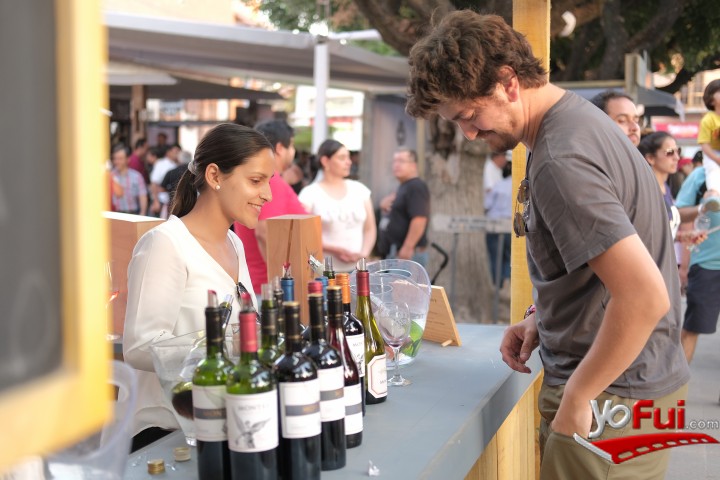 Fotografía en 19ª  Versión de Fiesta de la Vendimia del Valle de colchagua, Plaza de Armas de Santa Cruz
