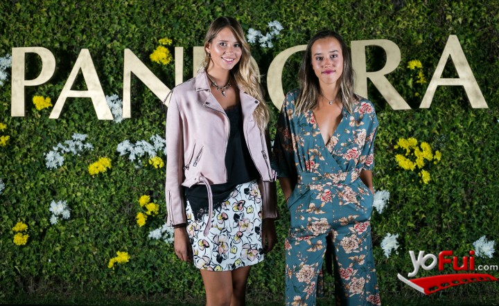 Antonia Montealegre, Camila Montealegre