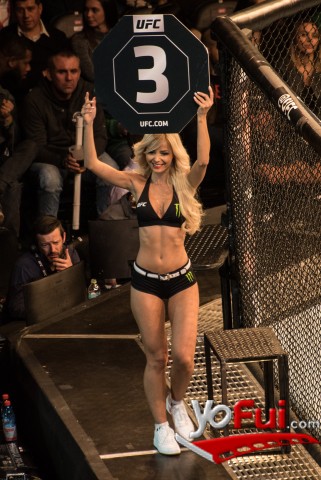 UFC Fight Night en Chile
