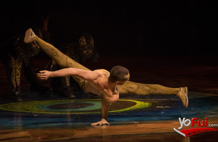 Amaluna, Cirque du Soleil