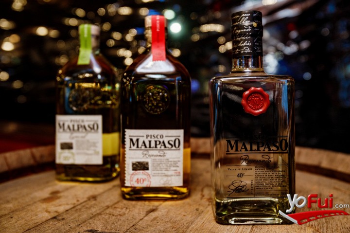 Pisco Mal Paso