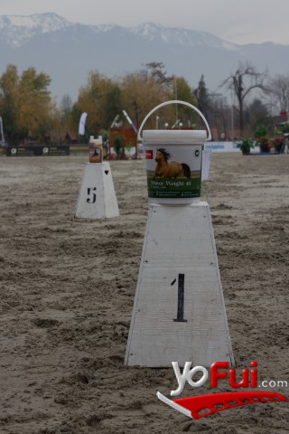 Fotografía en Club de Polo y Equitación San Cristóbal  celebró Torneo de Salto Otoñal, Club de Polo y Equitación San Cristóbal  c