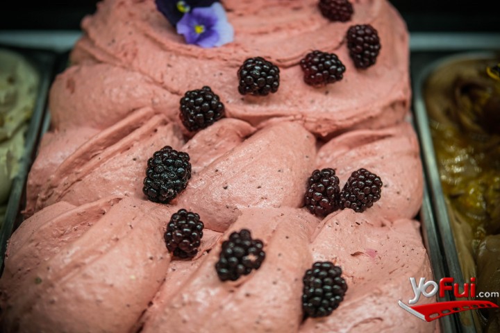 Fotografía en El Taller da la bienvenida a la temporada de helados con Sabores de Chile, El Taller, Club de Helado y Café