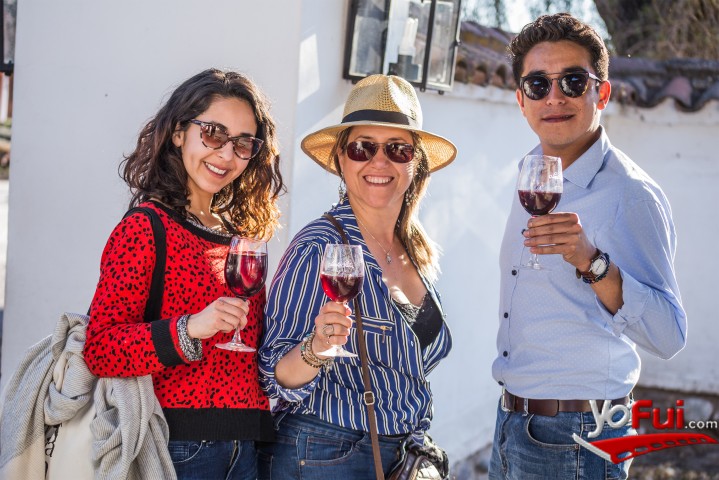 Rocío Castillo, Rosana Brito, Fabián Galleguillo