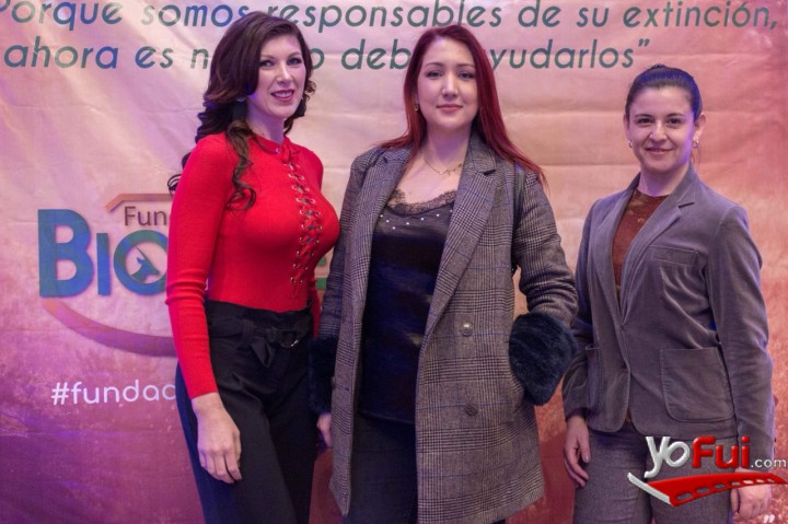 Julia Babkina, María Alejandra Bermúdez, Jackie O.