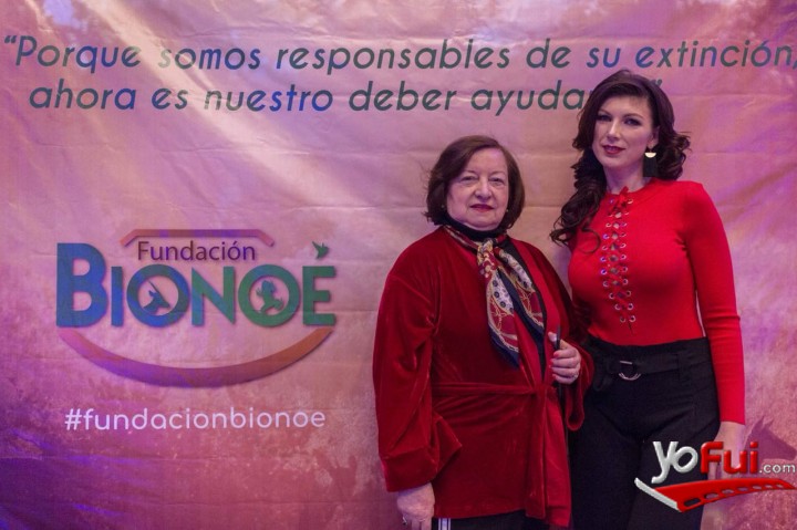 Marina Meneses Weber, Julia Babkina
