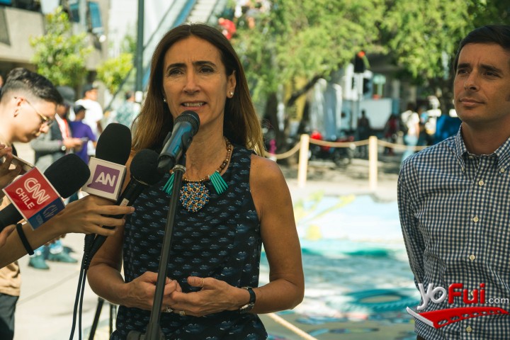 Carolina Schmidt, Ministra del Medio Ambiente