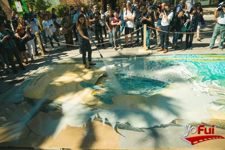 Fotografía en Programa Voluntarios por el Océano, Playa de Pichilenu