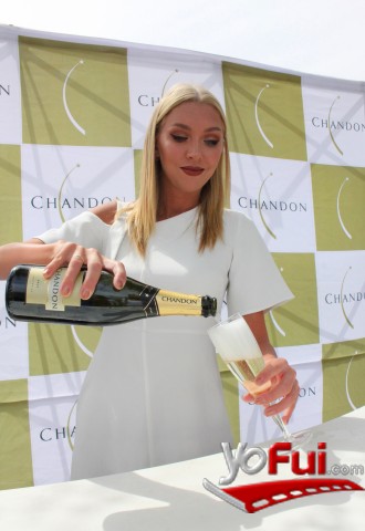 Degustación Chandon