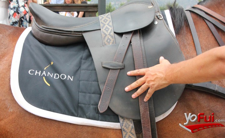 Polo Chandon