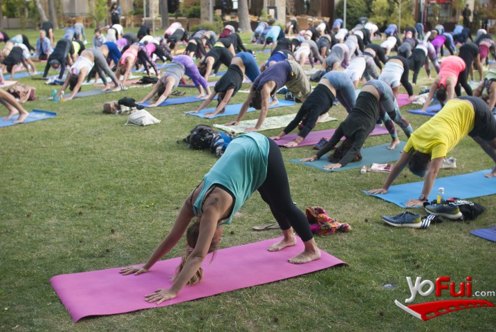 Fotografía en Fuel Yoga Sessions en Sheraton Santiago, Parque El Bohío