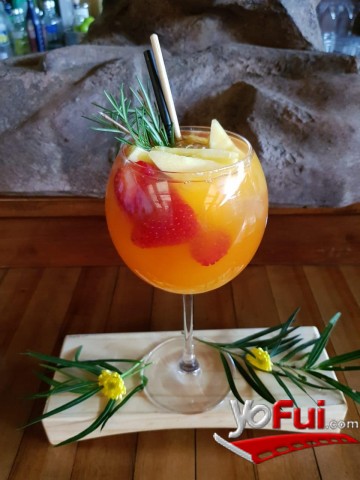 Pisco Punch