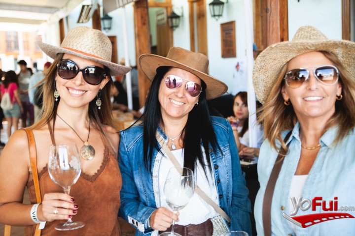 Macarena Espinoza, Carolina Acuña, Laura Santibáñez