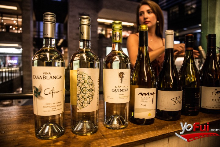 Fotografía en Lanzamiento Oficial de la Fiesta de la Vendimia de Casablanca 2019, CasaCostanera