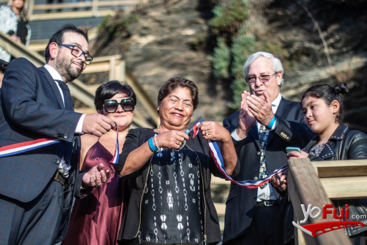 Marco Méndez, Carola Miccono, María Luz Reyes, Ignacio Urrutia, Rosario Menéndez