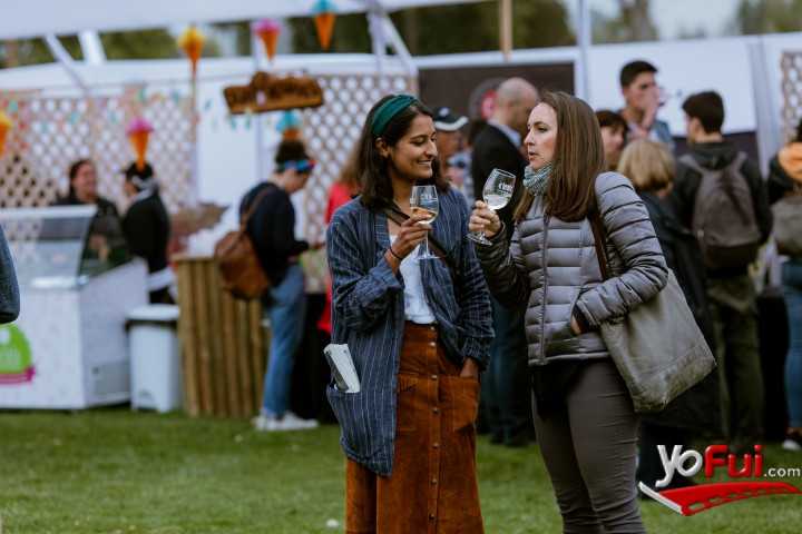 Fotografía en Miles de asistentes en la Fiesta de la Vendimia del Valle de Casablanca 2019, Estadio Municipal
