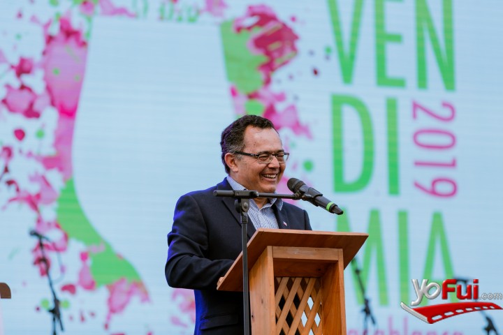 Vendimia Casablanca 2019