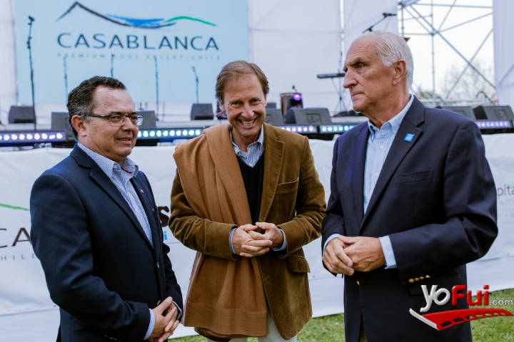 Vendimia Casablanca 2019