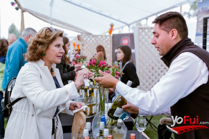 Fotografía en Miles de asistentes en la Fiesta de la Vendimia del Valle de Casablanca 2019, Estadio Municipal