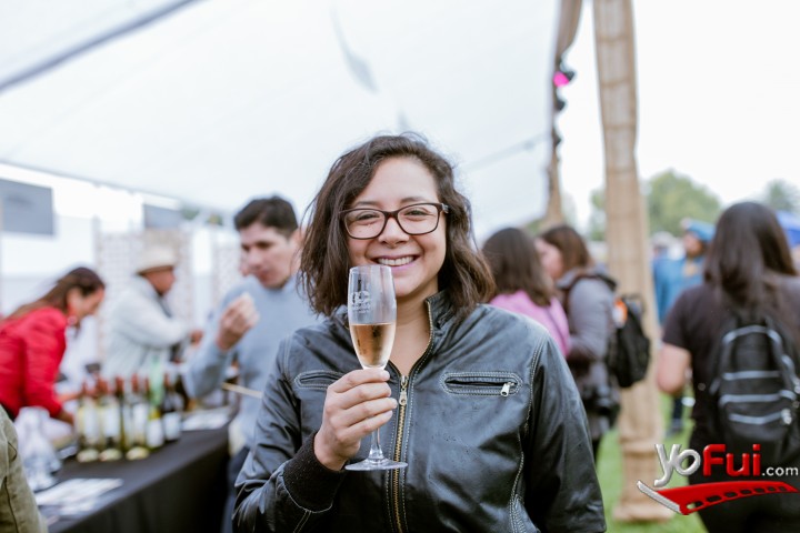 Fotografía en Miles de asistentes en la Fiesta de la Vendimia del Valle de Casablanca 2019, Estadio Municipal