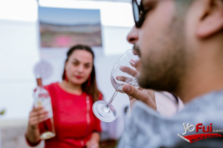 Fotografía en Miles de asistentes en la Fiesta de la Vendimia del Valle de Casablanca 2019, Estadio Municipal