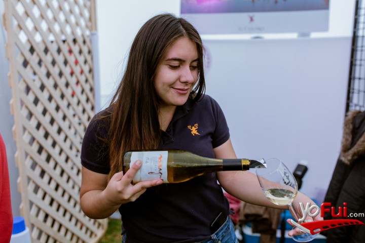 Fotografía en Miles de asistentes en la Fiesta de la Vendimia del Valle de Casablanca 2019, Estadio Municipal