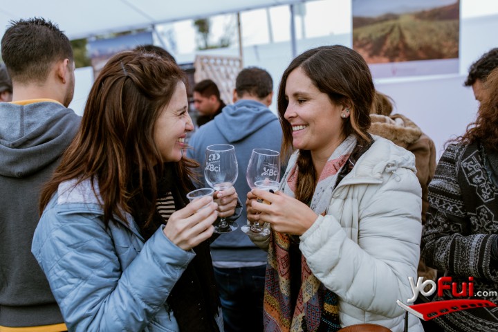 Fotografía en Miles de asistentes en la Fiesta de la Vendimia del Valle de Casablanca 2019, Estadio Municipal