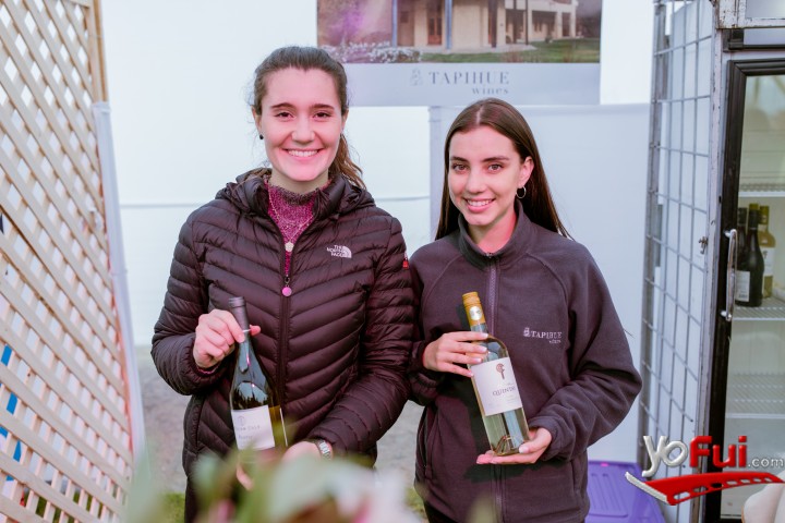 Fotografía en Miles de asistentes en la Fiesta de la Vendimia del Valle de Casablanca 2019, Estadio Municipal