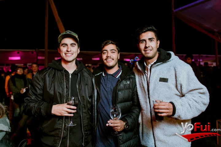 Fotografía en Miles de asistentes en la Fiesta de la Vendimia del Valle de Casablanca 2019, Estadio Municipal