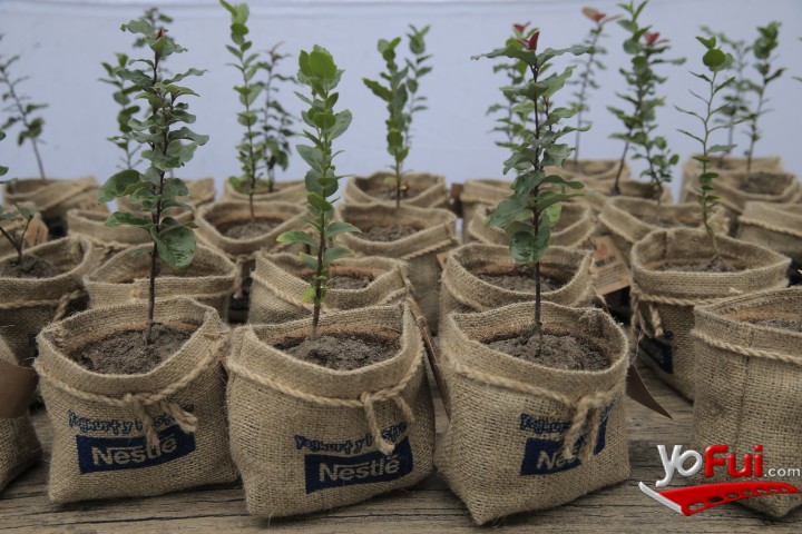 Fotografía en Potes de Yoghurt Batido Nestlé ahora se pueden reciclar, Fábrica Nesté-Macul