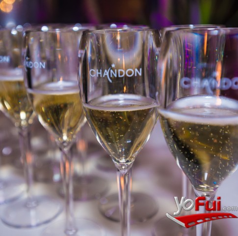 Fotografía en Chandon celebra el Día de la Amistad, Hotel The Hip