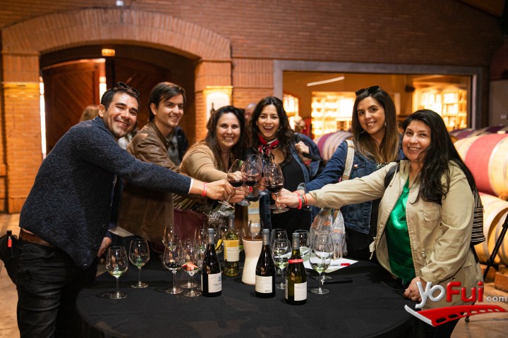Reconociendo vinos