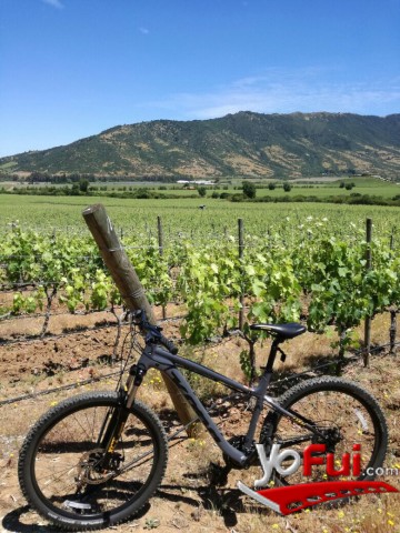 Fotografía en Colchagua entre los 10 mejores destinos del mundo para recorrer en bicicleta, Valle de Colchagua