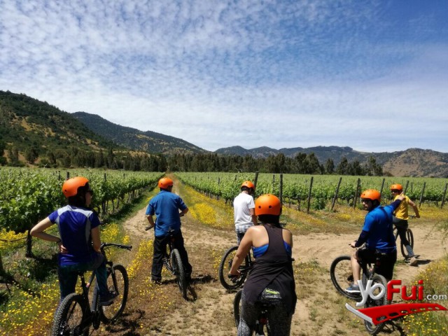 Santa Cruz Tour Bicicleta