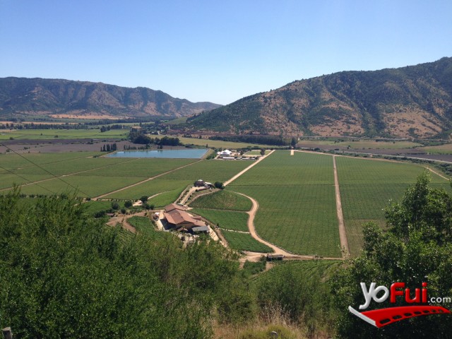 Panorámica verde