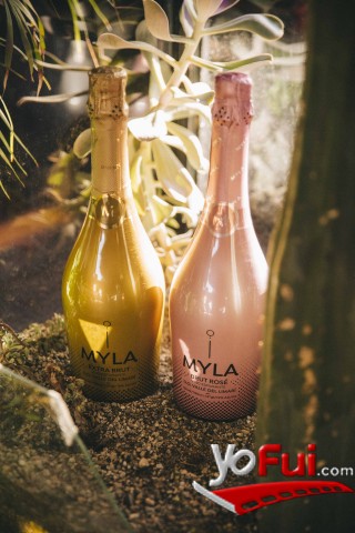 Fotografía en Lanzamiento del nuevo espumante Myla, Restaurant Vietnam Discovery