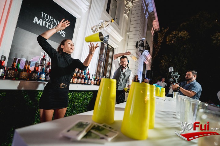 Show de bartender