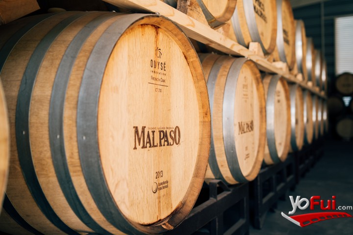 Fotografía en En el Día de la Piscola… ¡Pisco Mal Paso!, Restaurante Don Carlos