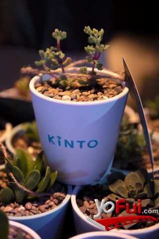 Fotografía en KINTO: la innovadora App de Movilidad de Toyota llega a Chile, Centro de Eventos Botánico