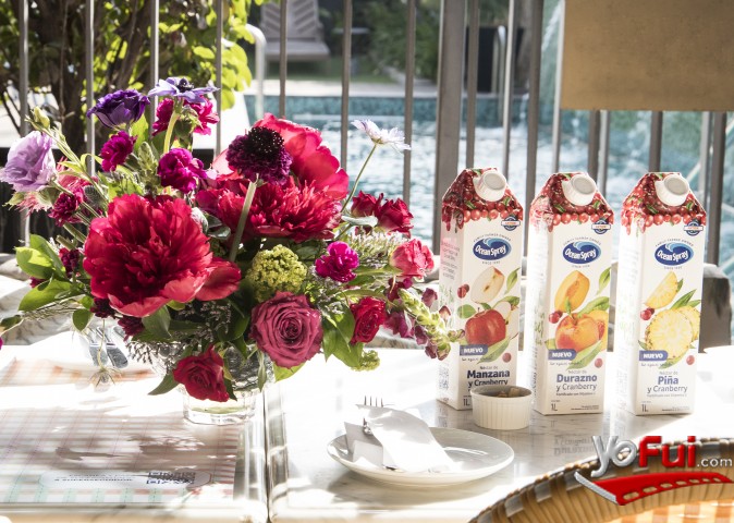 Fotografía en Ocean Spray® presenta tres primeros sabores de súper néctar de Cranberry, Hotel Bidasoa