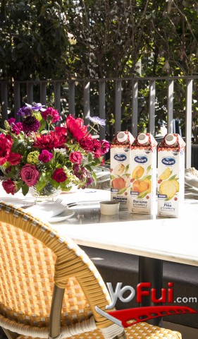 Fotografía en Ocean Spray® presenta tres primeros sabores de súper néctar de Cranberry, Hotel Bidasoa