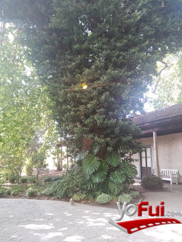 Hacienda Porvenir - Colina