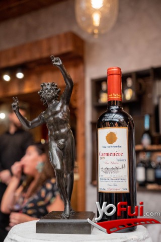 Escultura del Fauno y botella de Carmenere San Valentino