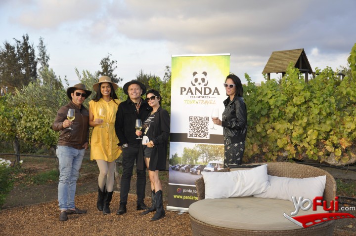 YoFui.com Tarde de Vino Panda Tour and Travel, Casas del Bosque (9228)
