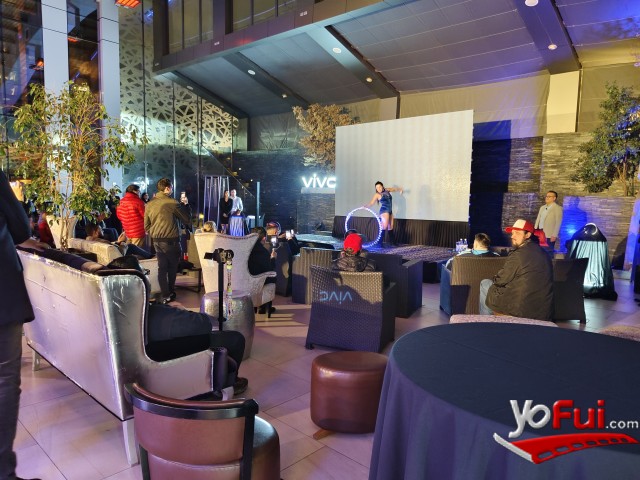 Lanzamiento del vivo V29